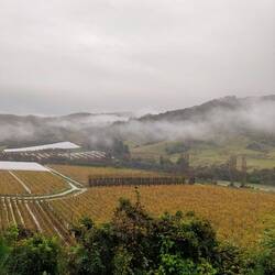 In the clouds on the way over the hill