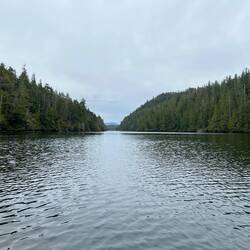 Looking towards Edward Channel from inside Lawall Inlet