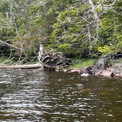 From a distance, this kind of looks like an old boat wreck...