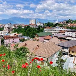 Peshkopia