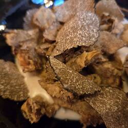 Truffles and artichokes