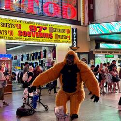 Dancing Gorilla 🦍 Why not?