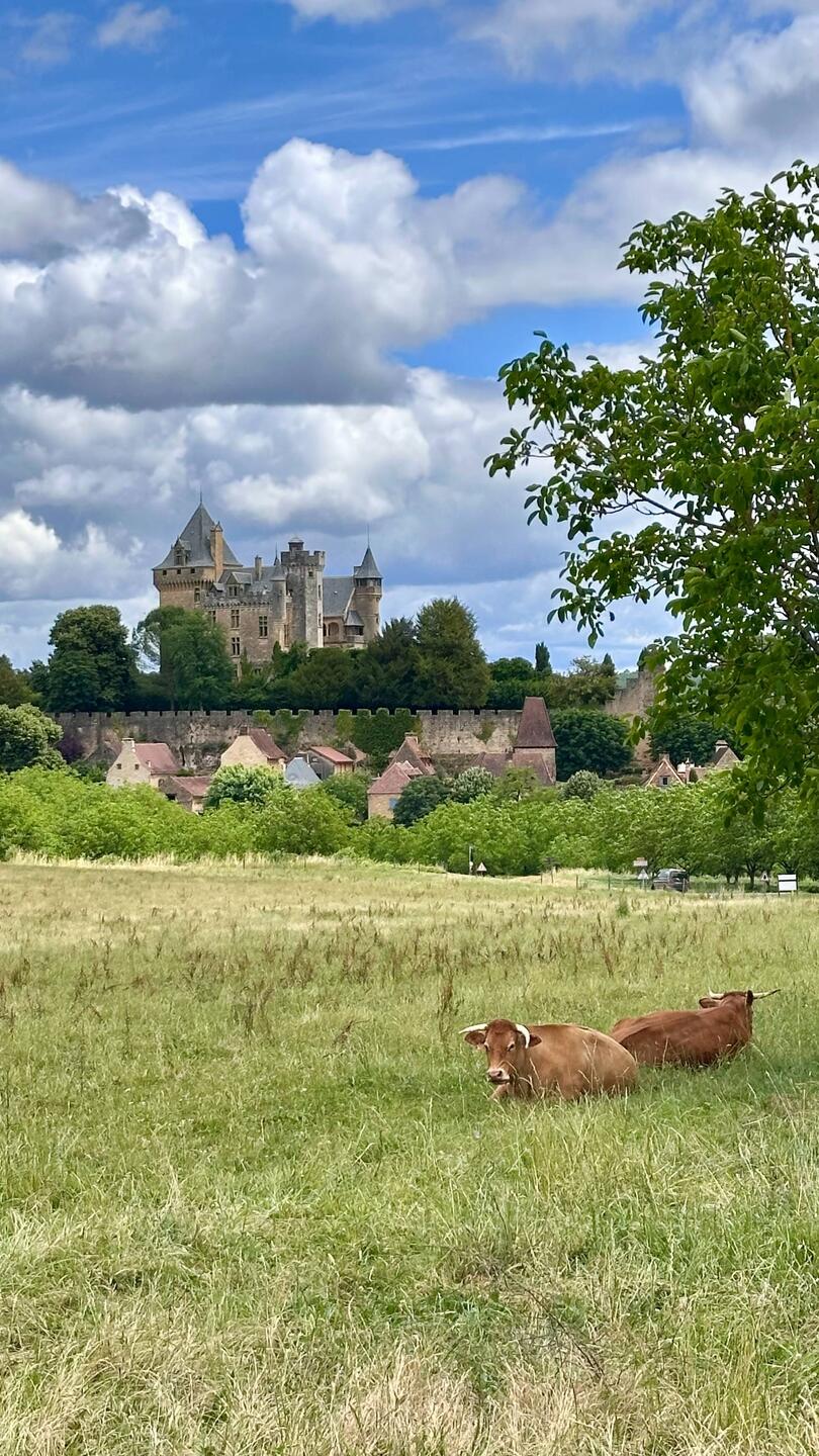 Château de Montfort