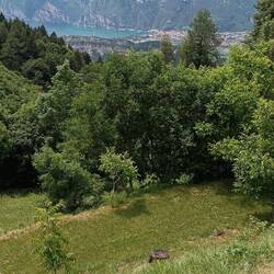 Gardasee