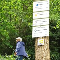 die Wanderung beginnt