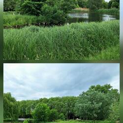 Flickschupark, 2018 auch Teil der LaGa Burg