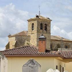 Stork nests