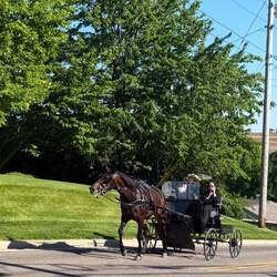 Wir sind bei den Amish People