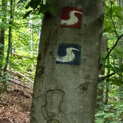 Natursteig