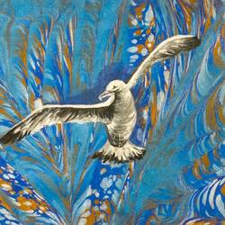 From Mine Tülek's "What Water Expresses" marbling exhibition at TSF — Alsancak, İzmir.