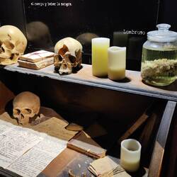 Ausstellungen zu Serienmördern.