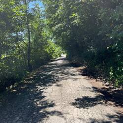 Il fait bon sur les petites routes ombragées