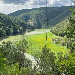 Les gorges du Tibre. Magnifique bouffée de verdure à découvrir depuis les tunnels ajourés