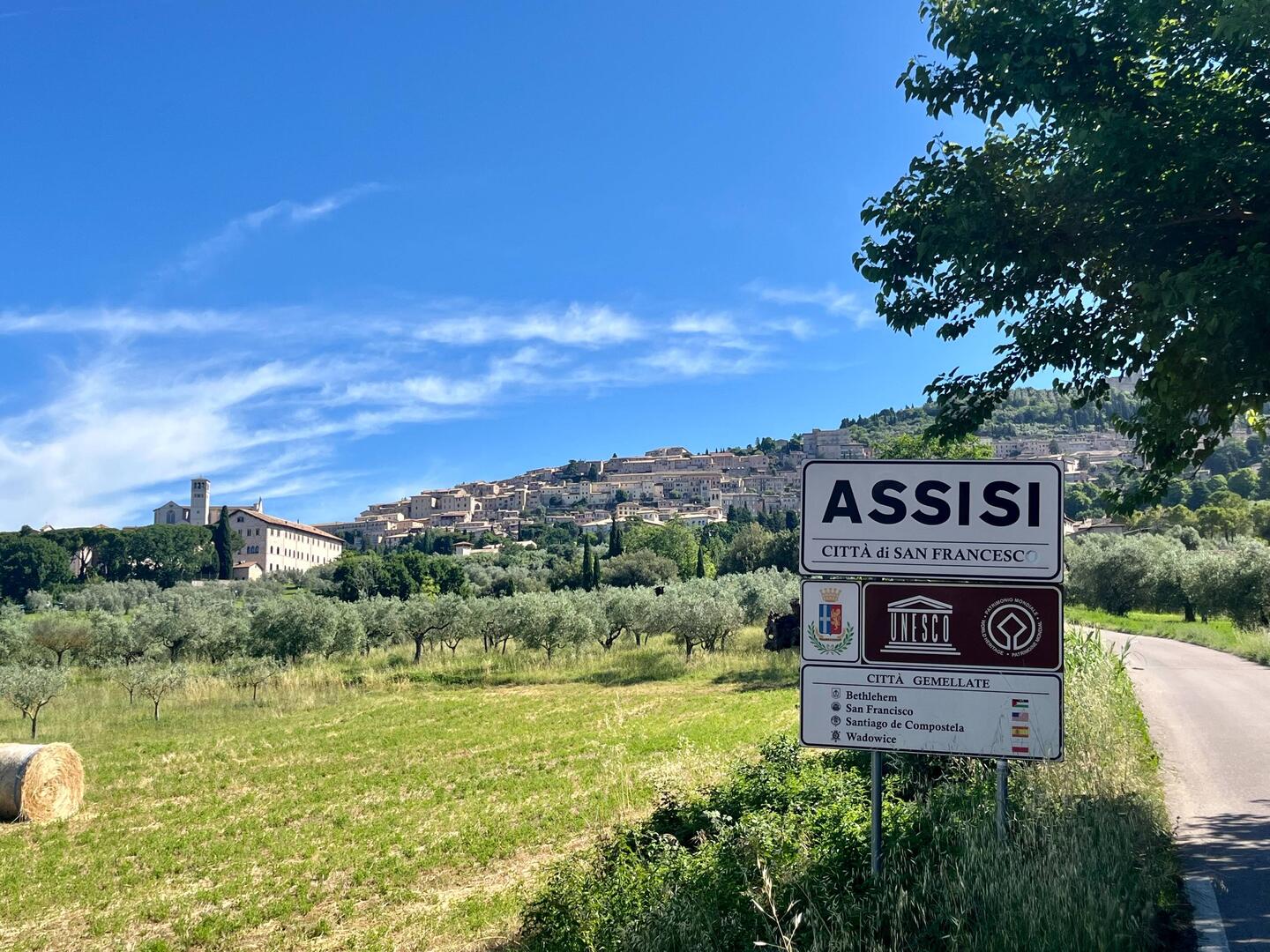 Ciao Assisi