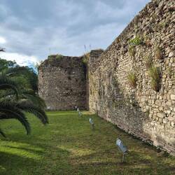 Ein Stück Stadtmauer