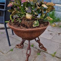 Sehr interessanter Blumentopf