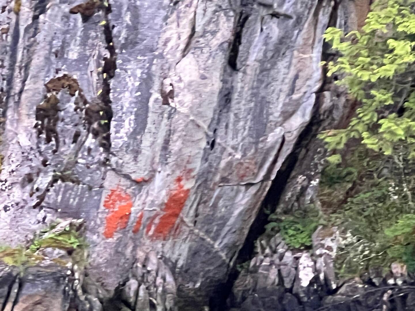 In Lewall Inlet. Either a pictograph, or grafitti...?