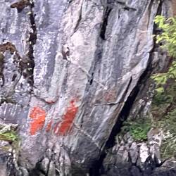 In Lewall Inlet. Either a pictograph, or grafitti...?