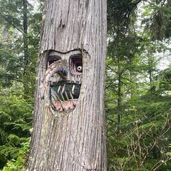 Tree art, (in a live tree) next to Hakai residential area.