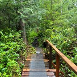West Beach trail had some boardwalk. Pretty overgrown next to the trail.