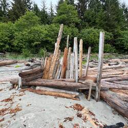 Somebody must have stacked this drift wood.