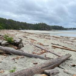 West Beach