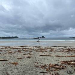 West Beach