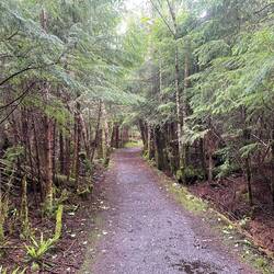 And some of the trail was just a nice path.