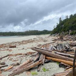 West Beach