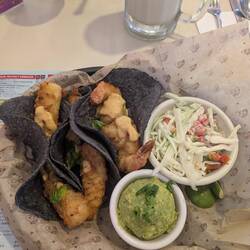 Fisch Tortillas