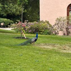 Schlosspark