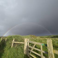 🌈
