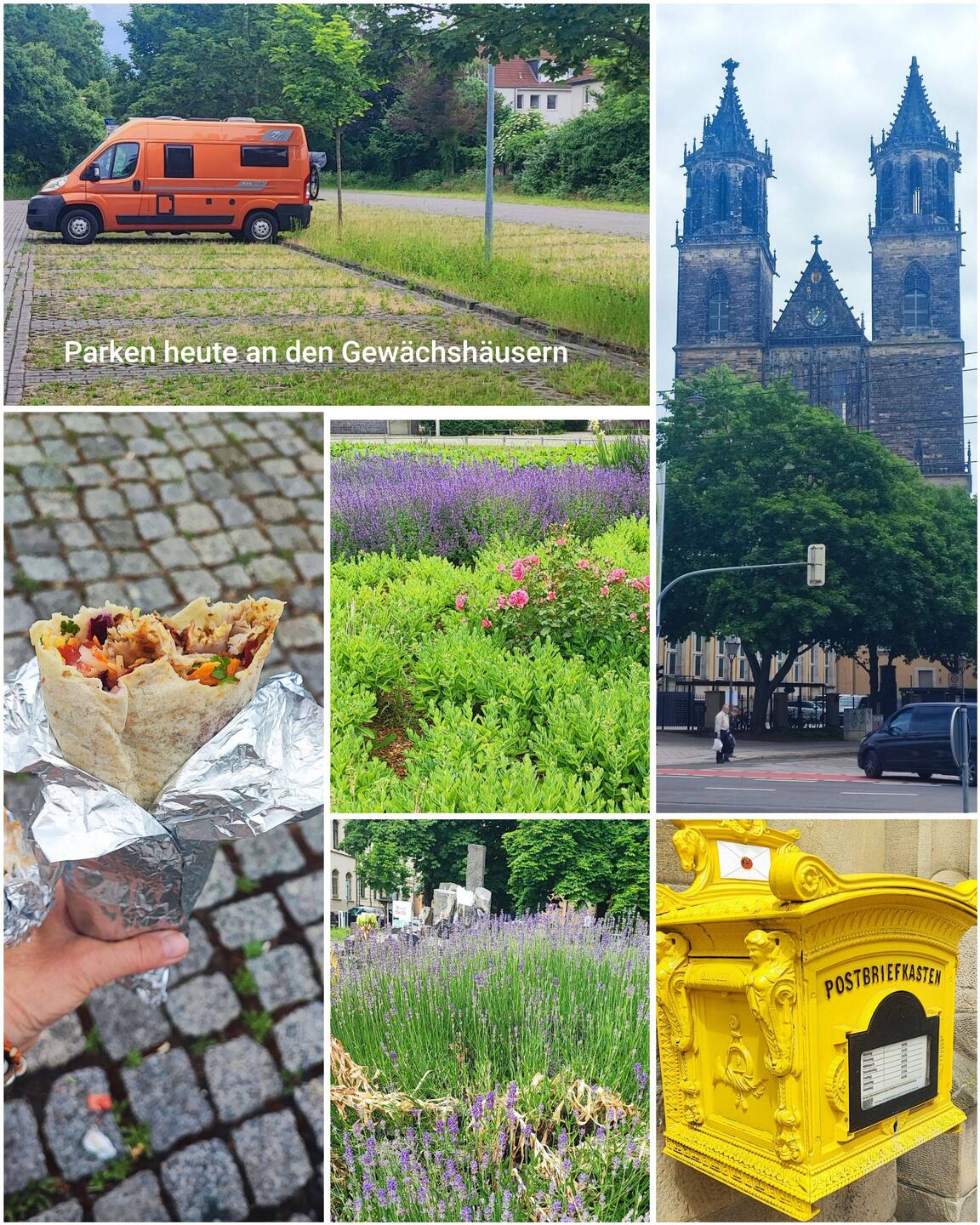 Die grüne Zitadelle von Magdeburg