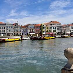 Barcos Moliceiros dümpeln auf dem Canal Central von Aveiro