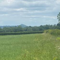 Looking out over Glastonbury Tor