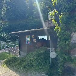 Der Stall liegt direkt in der Kurve
