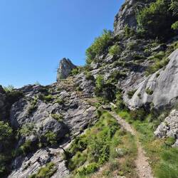 Ein schöner (und steiler) Weg führt hinauf