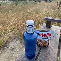 Breakfast of champions.