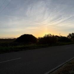 Morning on the Meseta.