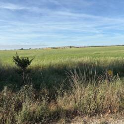 Yvonne said she doesn't take many pictures on the Meseta. I told her I do but they all look the same