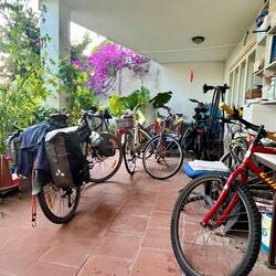 Une colonie de vélos chez Bernardo pour tenir compagnie à Charlie