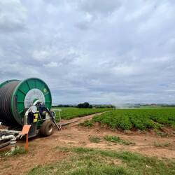 Ensuite une plaine de production de légumes