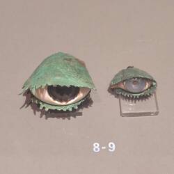 Yeux pour statue antique
