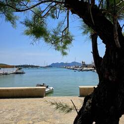 Port of Pollença