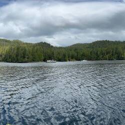Panoramic view in the north basin of Joes Bay.