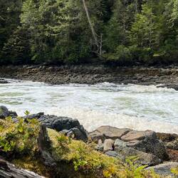 A lot of foam. I think caused by incoming tide against the opposing rapids.