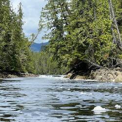 Looking back at the rapids from farther away.