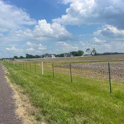 Corn fields abound