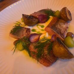 Herring