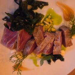 Tuna tataki
